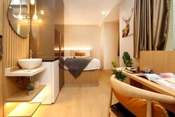 Mount Elizabeth Link (D9), Condominium #623624651